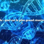 Réponse rapide : quel est le plus grand réservoir de carbone ?